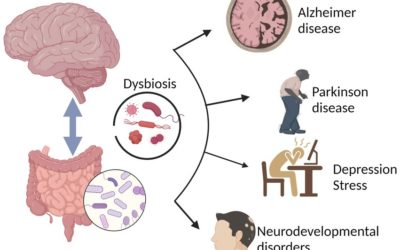 De relatie tussen de darmmicrobiota en neurologische aandoeningen
